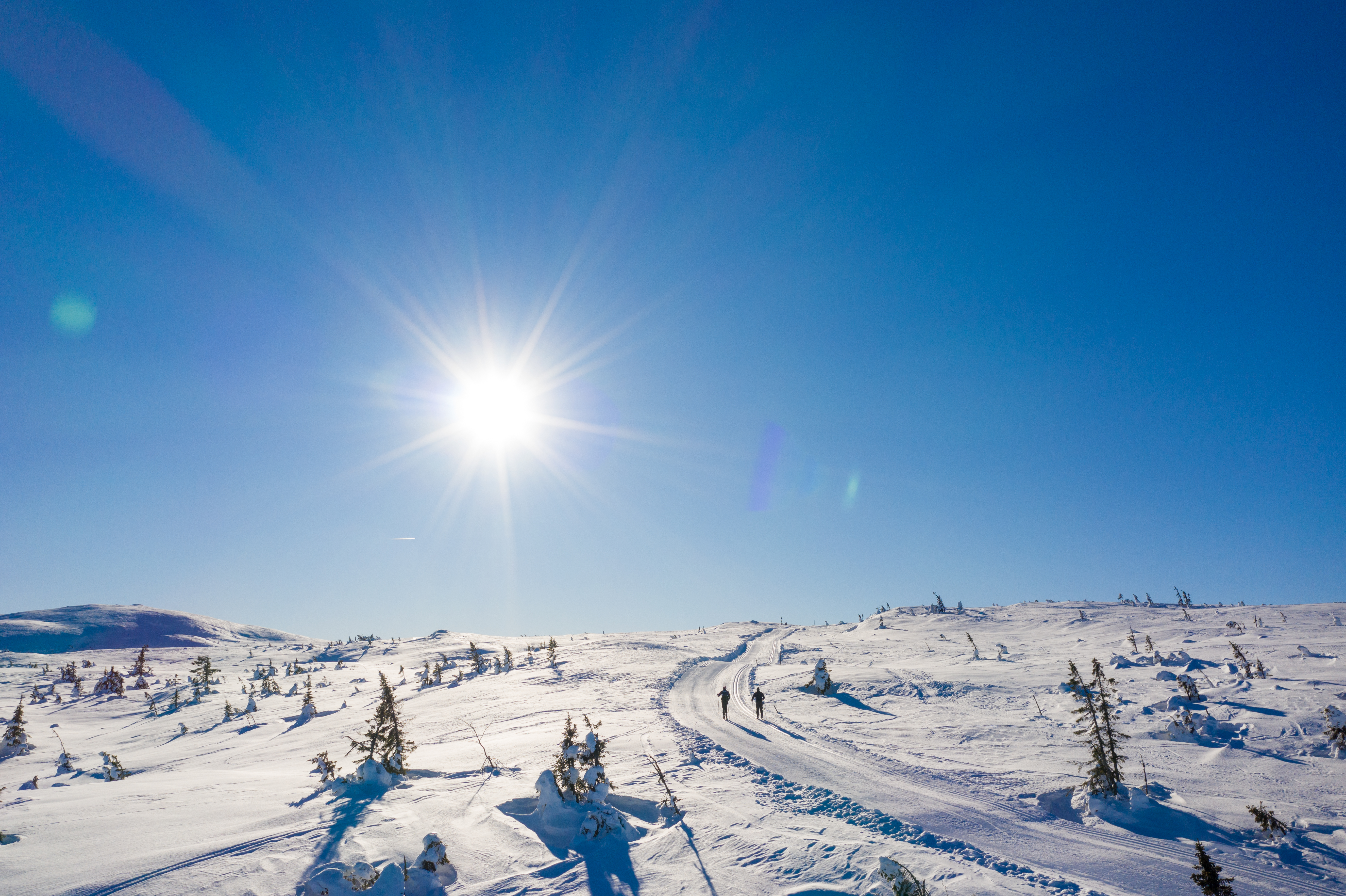Vikerfjell med skiløyper