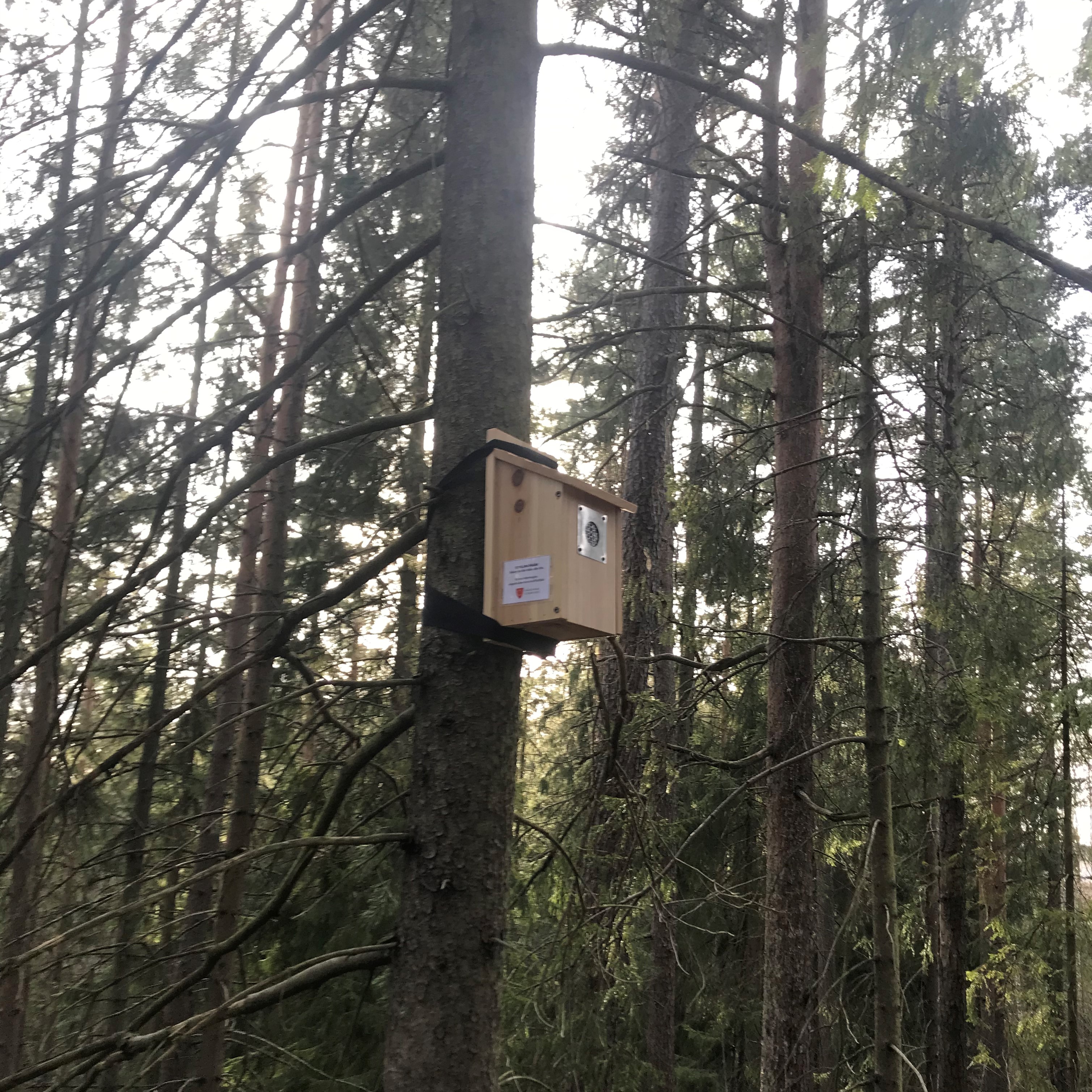 Fuglekasse