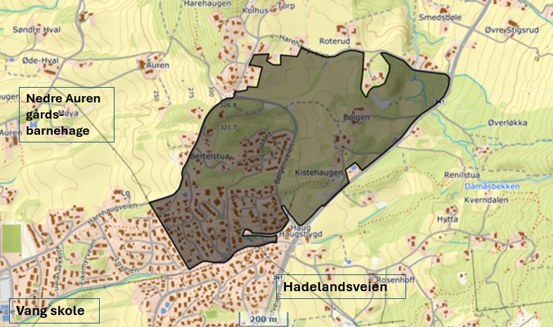 Bilde fredagsannonse - Planvask 99 Haugsbygd B-D.jpg