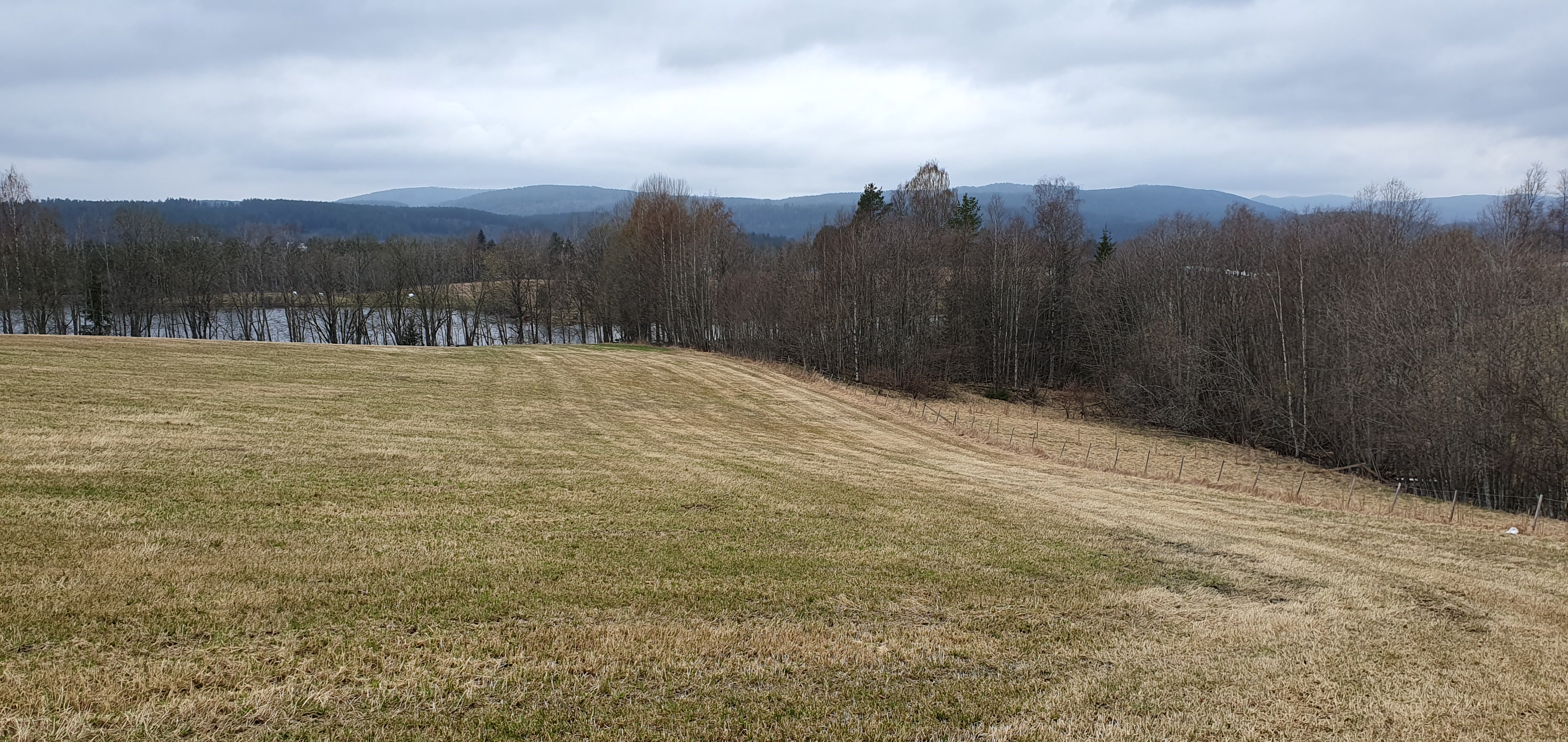 Bildet viser et jorde som er et av ledningstraseene til nytt vann-og avløpsprosjekt