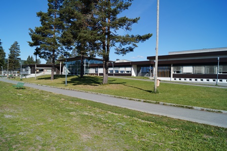 Hallingby skole